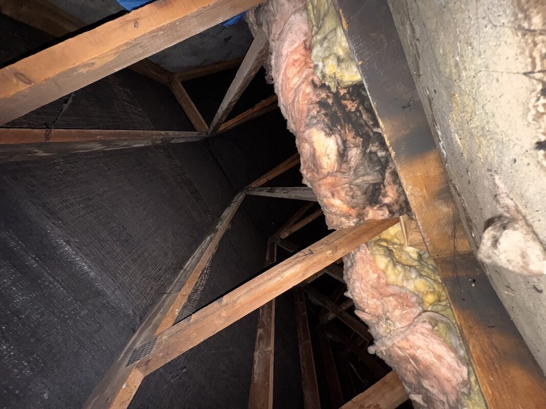 IMG_0416.JPEG#asset:2220